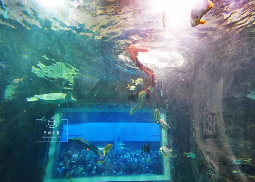 秦皇岛旅游攻略夜景,秦皇岛旅游攻略这几个景点必去