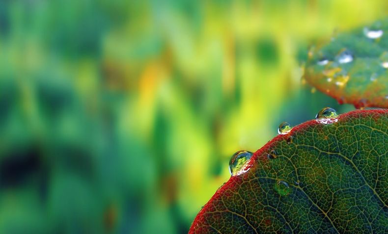 寒露古诗词名句,古诗寒露七言诗句