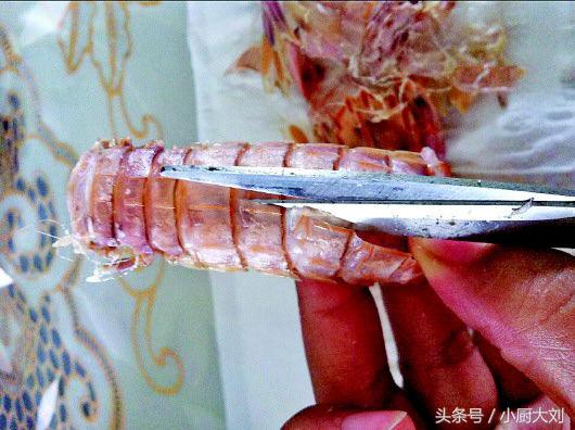 皮皮虾里面有一个洞,皮皮虾的外壳上有疙瘩