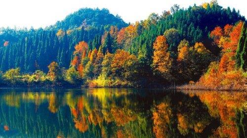 白朴的关于秋天的诗,白朴的关于秋天的诗句