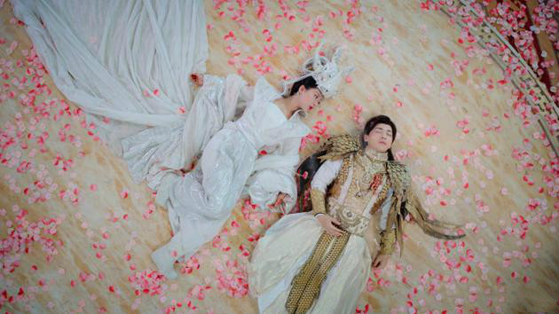 杨紫蜜汁炖鱿鱼路透,杨紫蜜汁炖鱿鱼超话