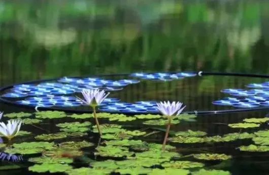 上海地铁的免费景点,上海地铁9号线沿线景点