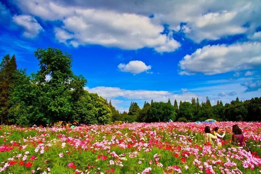 上海地铁的免费景点,上海地铁9号线沿线景点