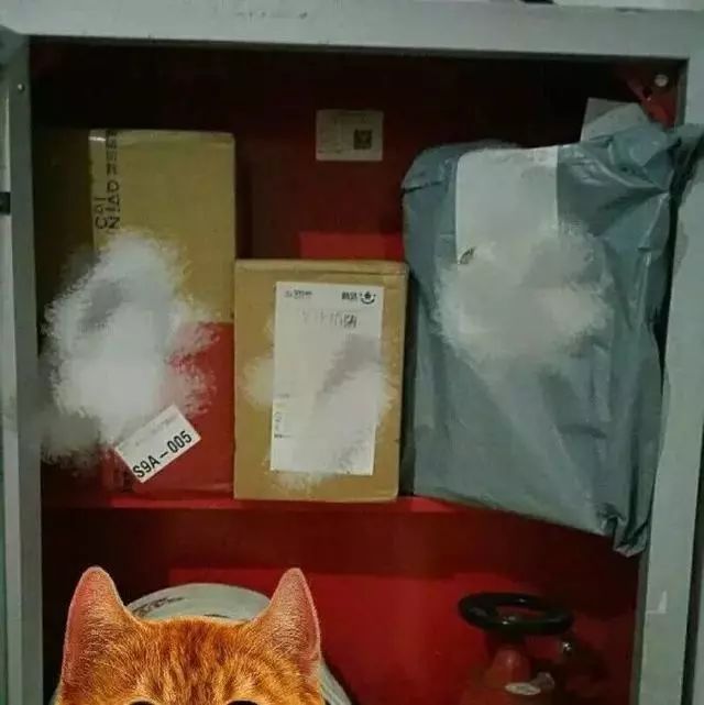 快递到了没人配送,快递没时间接让快递员放在哪里