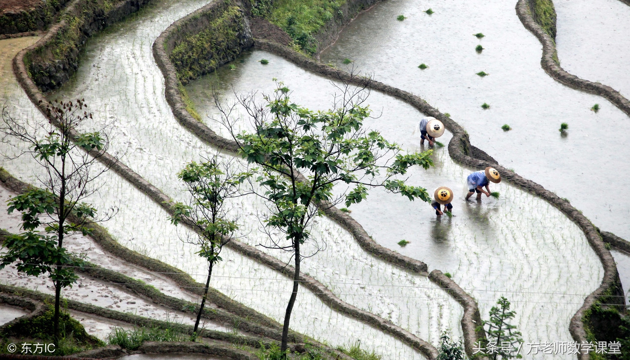 如何提升数学阅读能力和阅读理解,如何提升数学理解能力的文章