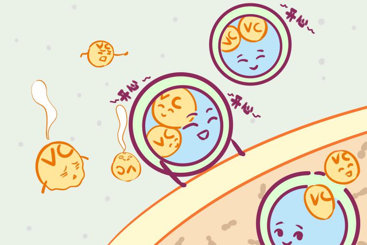 脂质体有哪些特殊应用,脂质体技术在护肤品中的应用