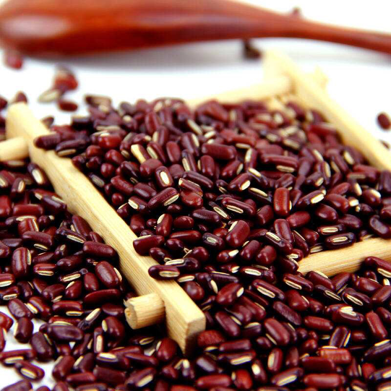 药材赤小豆,中药材赤小豆芽能治痤疮吗