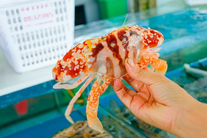 全家人三亚旅游,全家人游海南三亚旅行照片