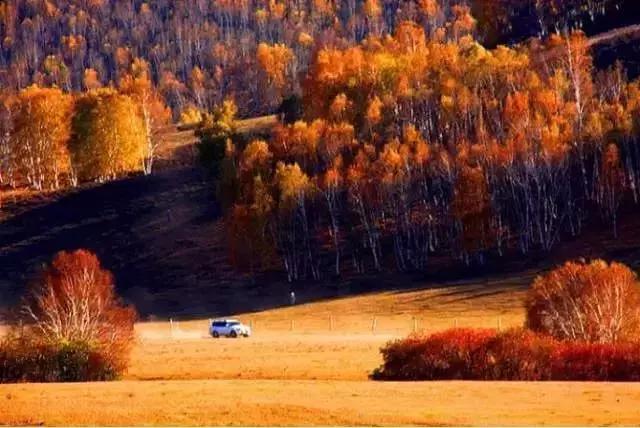 草原风光宛如油画 (呼伦贝尔大草原美图)