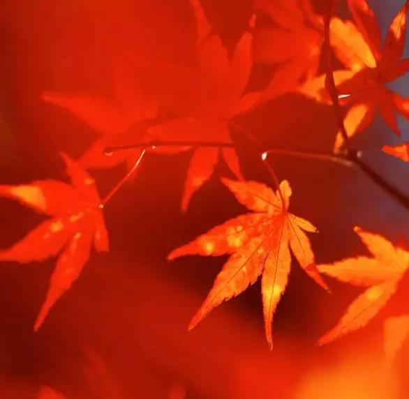 当男朋友和口红同时掉进水里,口红掉进水里了有用吗