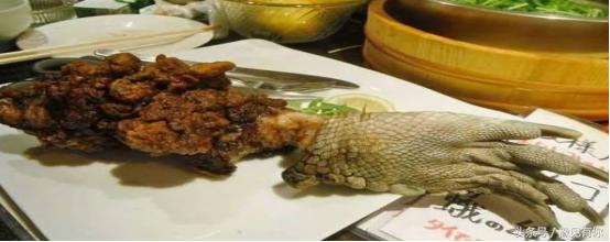 大象粪便里还有人能吃的东西吗,大象粪便里还有人能吃的东西