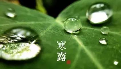 博士当中学老师大材小用还是人才,博士成为老师大材小用