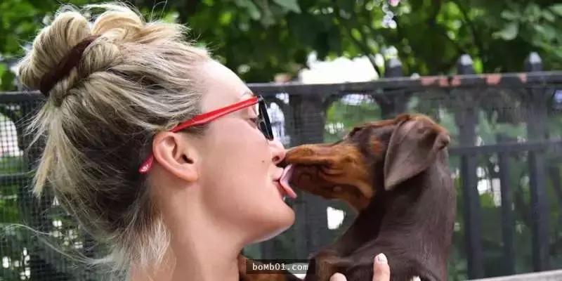 又一例！他严重感染四肢被截，竟只因被狗狗舔了一下……