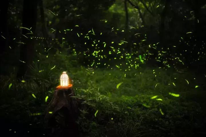 佳能50d60d70d80d价格,佳能50d60d70d80d90d相机的选择