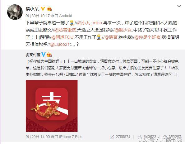 中国锦鲤有福利吗,1200万的锦鲤现在怎么样了