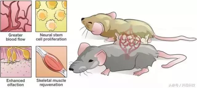 到底是不是智商税用了就知道,究竟是智商税还是真香