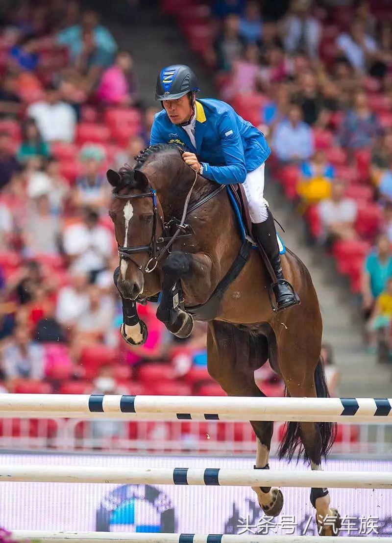 大师赛喊你来吃马术圈最贵狗粮