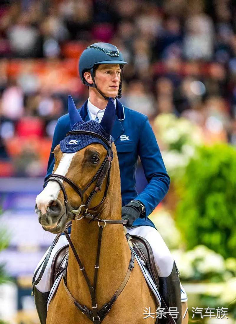 大师赛喊你来吃马术圈最贵狗粮