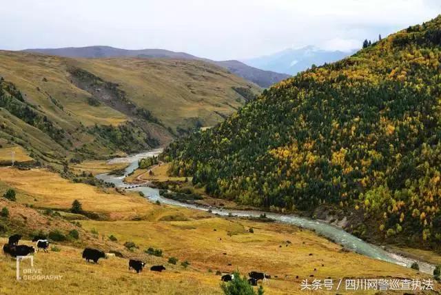 驴友非法穿越被困3天，烧内衣裤求救！理塘百余警民40多个小时冒雪搜救助其脱险……