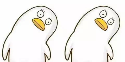 日本富豪免费招募月球之旅,日本富豪去月球