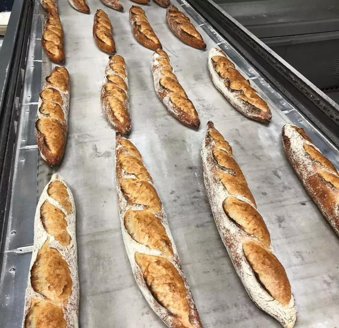 法棍怎么割口最好看,短法棍割口技巧