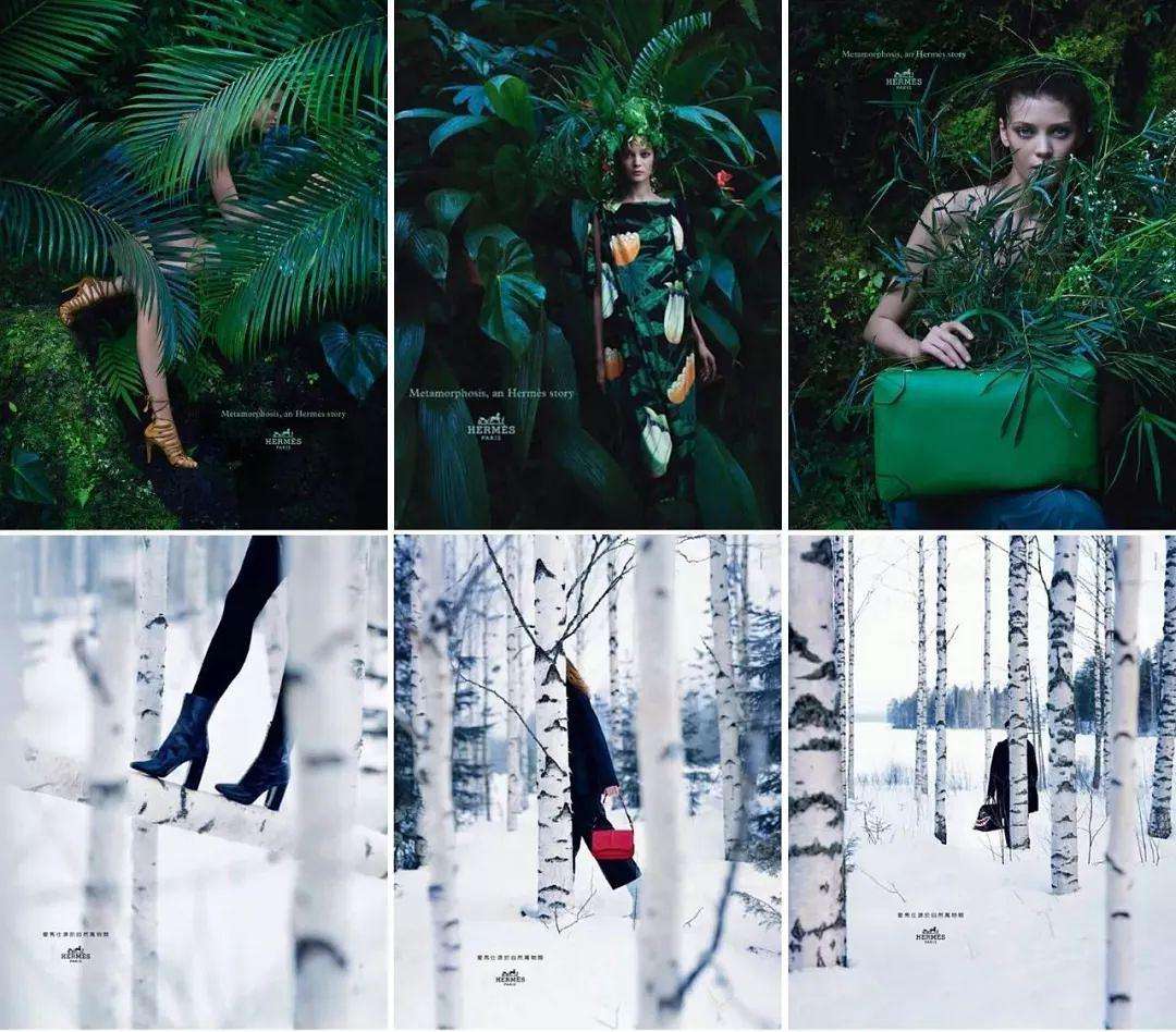 爱马仕丝巾：造梦者的霓彩丝语