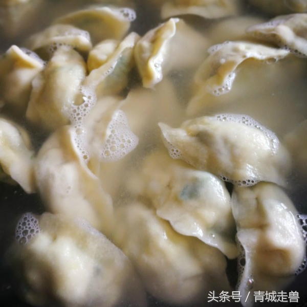 冷冻的皮皮虾裙带菜饺子馅怎么做,皮皮虾饺子馅的做法大全图解