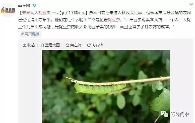 身价暴涨！蓬安农村这东西竟然卖300一斤？你家都有！