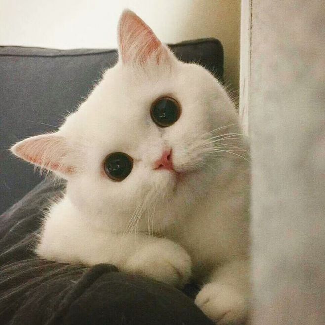 中国元素文字中国风壁纸,中国风壁纸高清无水印无文字