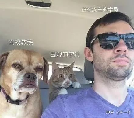 娣寳椹炬牎鍝竴涓渶濂芥渶渚垮疁,娣寳椹炬牎鍝寮烘渶鏂版鍗曞嚭鐐変簡