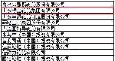 轮胎企业银宝,银宝轮胎集团简介