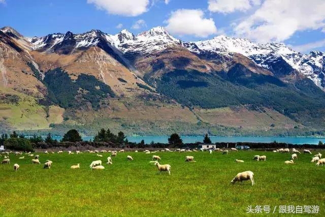 出国自驾七大手续,开车出国自驾游可以去哪些国家