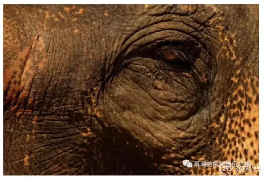 一把吉他一台车,一把吉他露营