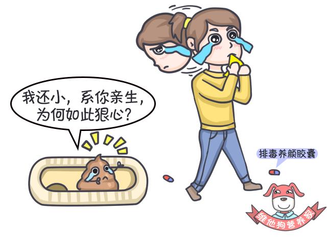 大麦若叶青汁可以清肠吗,足贴真的排毒减肥吗