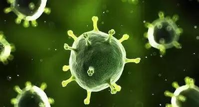 带状疱疹消退后长了很多小痘痘,治疗带状疱疹的经历