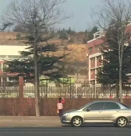 网红莉哥改编,网红莉哥唱的歌曲四个字