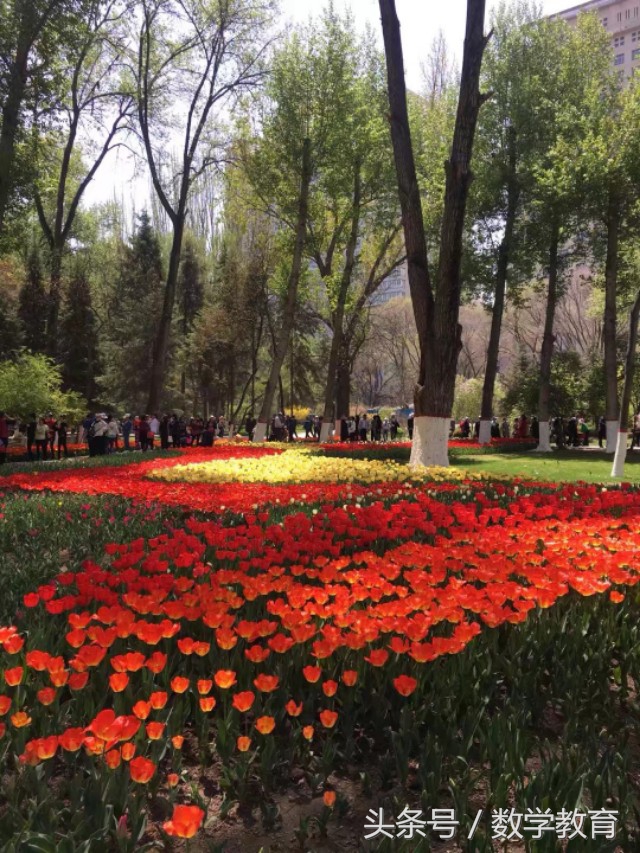 怎么用数学来解释足球,数学足球有哪些小知识