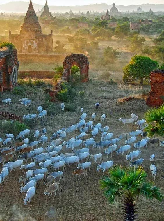 缅甸泰国老挝柬埔寨越南,2019年缅甸能落地签吗