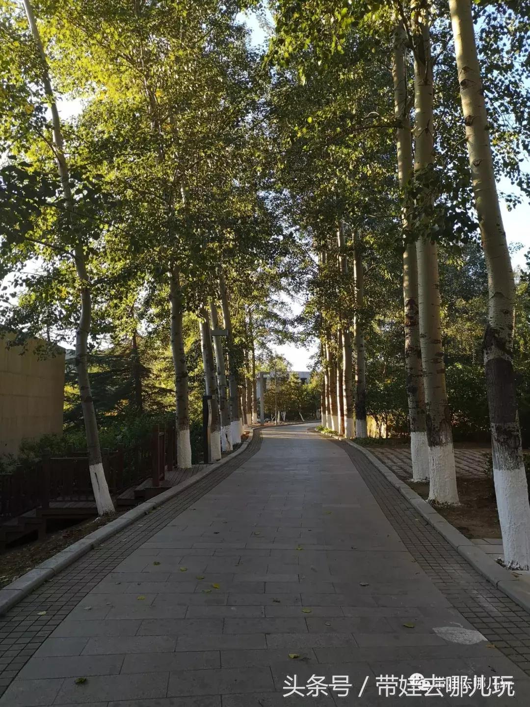 京郊十大亲子酒店,平谷亲子酒店值得去吗