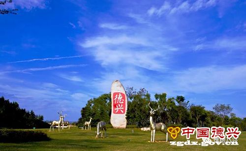 “铜都”转型，恰逢其时——专访江西省德兴市委书记刘瑞英