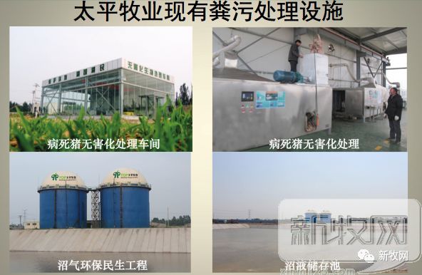 太平牧业养殖,生猪养殖场污水处理