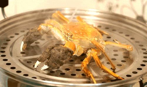 头皮发麻有虫怎么办,头皮发麻有小虫爬