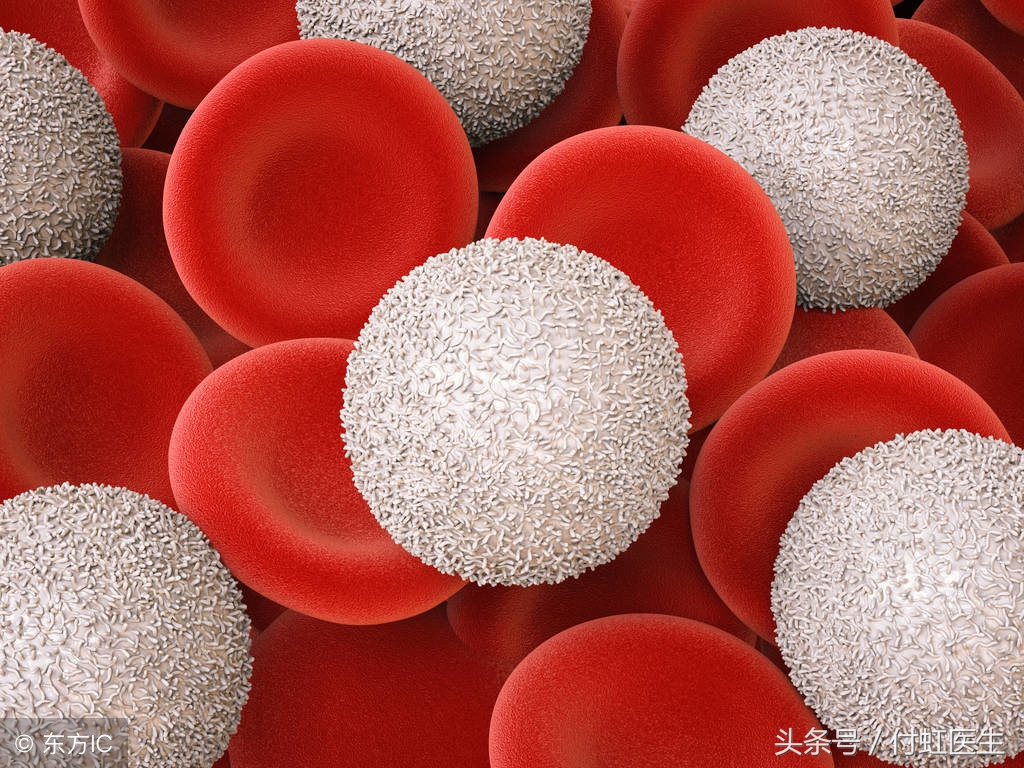 阿胶红糖和大枣红糖哪个更补血,想补血就吃这几种美食