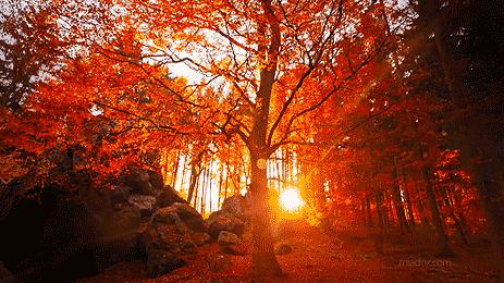 比较热门的十款香水,十大小众香水