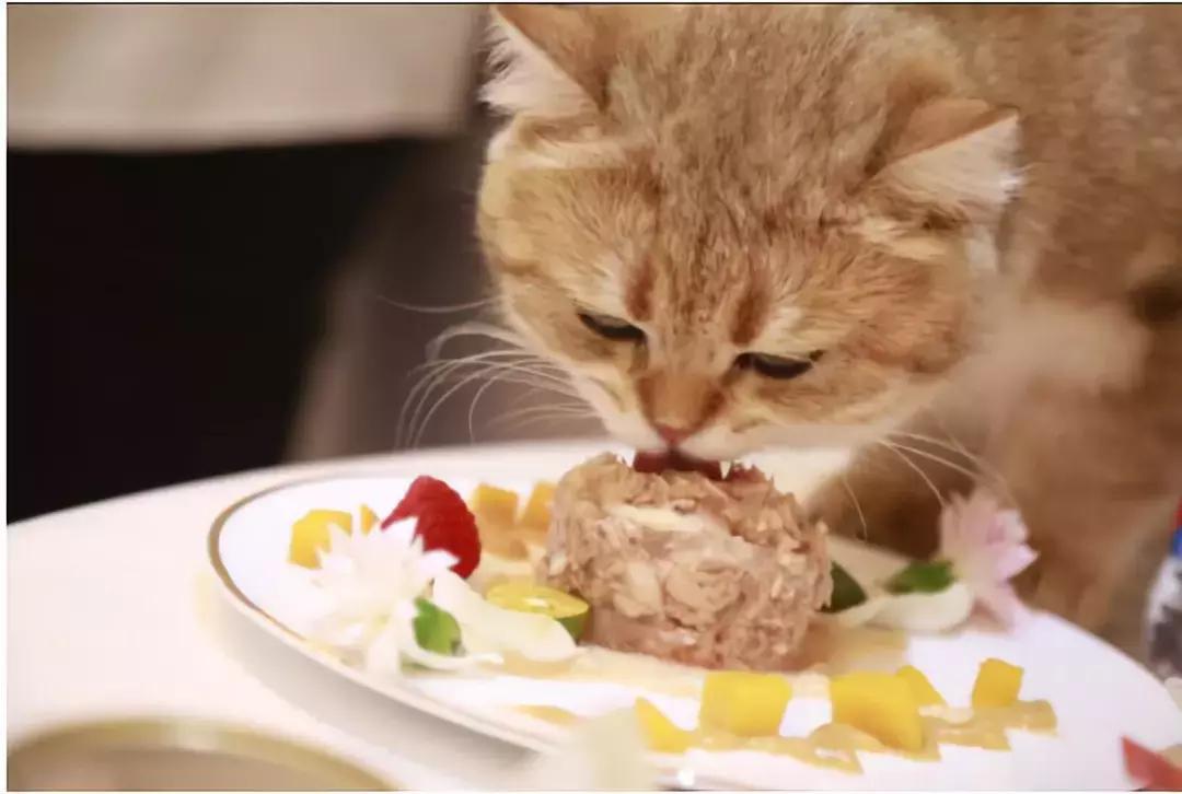 雀巢普瑞纳宠物食品品牌,雀巢普瑞纳宠物食品有限公司