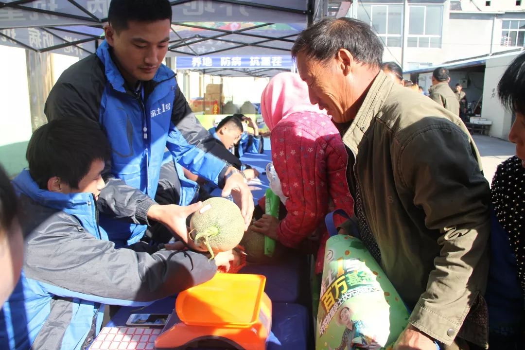热点｜哈密瓜香又甜，“亲土1号”让土地留住年轻人！