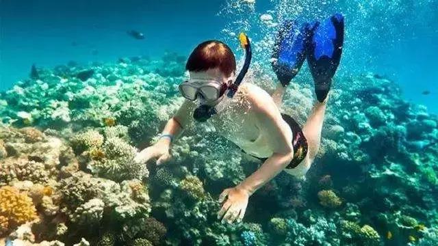 芽庄999元靠谱吗,999元越南芽庄6日游