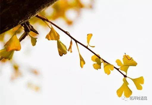 没有什么比赖床更幸福,当一个人赖床不起