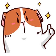 安康哪些地方可以换领驾驶证,安康驾照到期了在哪里换