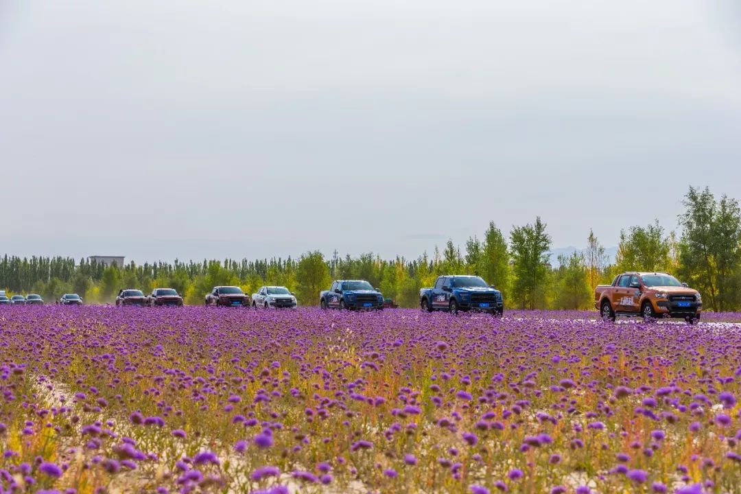 车叔的全部视频,车叔的最新视频